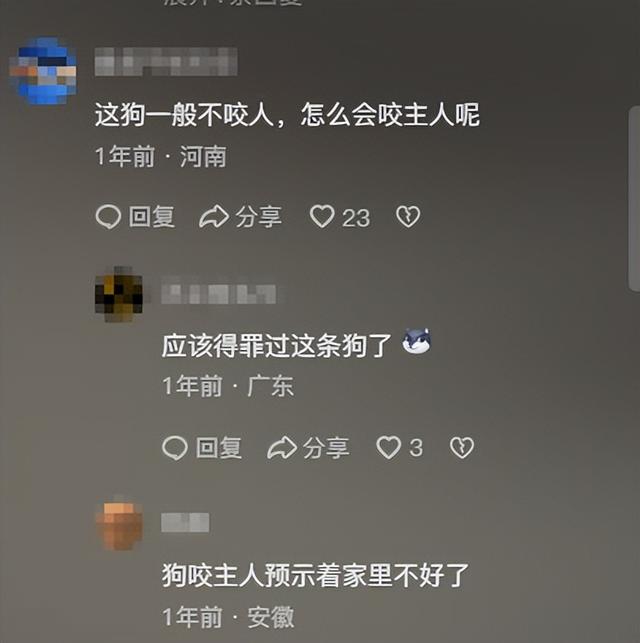 大型犬你敢养吗？到底应不应该禁止养大型犬？哪些狗不能养