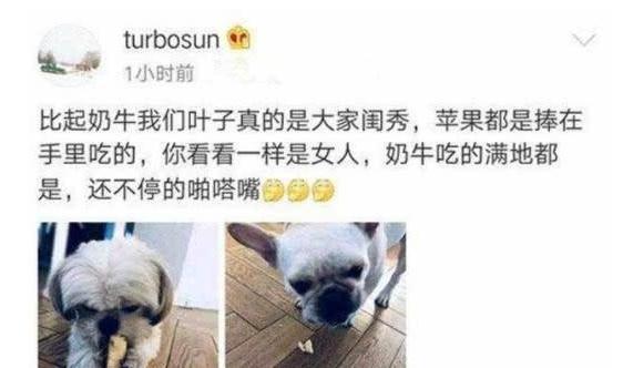 孙俪晒自己狗狗睡姿，引众网友评论，姿势很像邓超喝醉