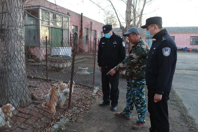 哈尔滨市公安局开展依法文明养犬宣传活动，今后养狗不能只养不管啦