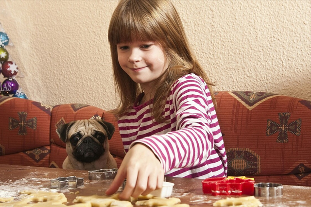 家有小孩子适合养什么狗，这些狗狗，可以考虑一下