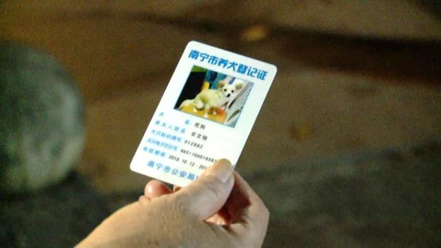 南宁查处违规养犬，出门遛狗别忘带狗证「话题」