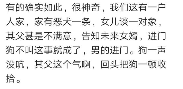 结婚前一天，被自己狗给咬了，现在婚姻生活也一言难尽