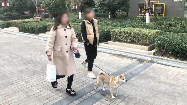 养狗竟要遭处罚？一小区现“禁狗令”：居民自行处理犬只