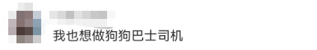 日赚400元！上海95后女生兼职给狗狗当司机！看完疯狂心动！