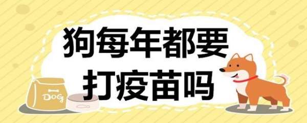 养狗打什么针(狗每年都要打疫苗吗，应该打哪些疫苗呢)