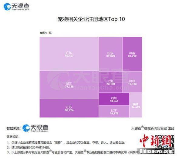 报告：中国养宠家庭达9978万户 5年内同比增长43.9%