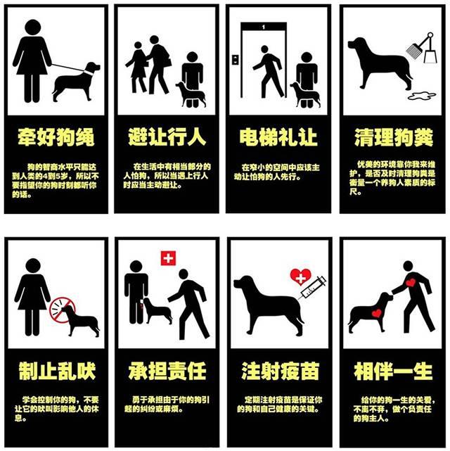 养犬证办理攻略（上海）