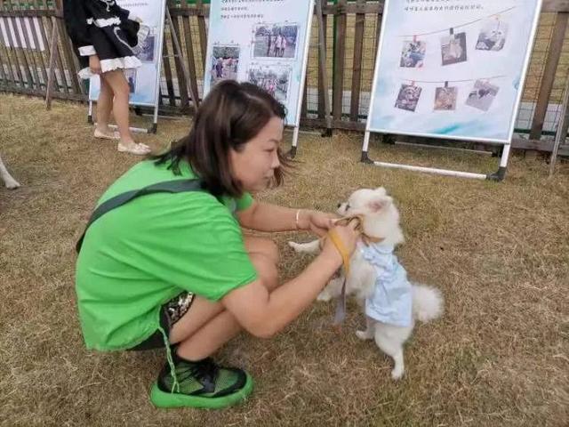 “人犬矛盾”频上热搜，代表委员为城市养犬管理支招