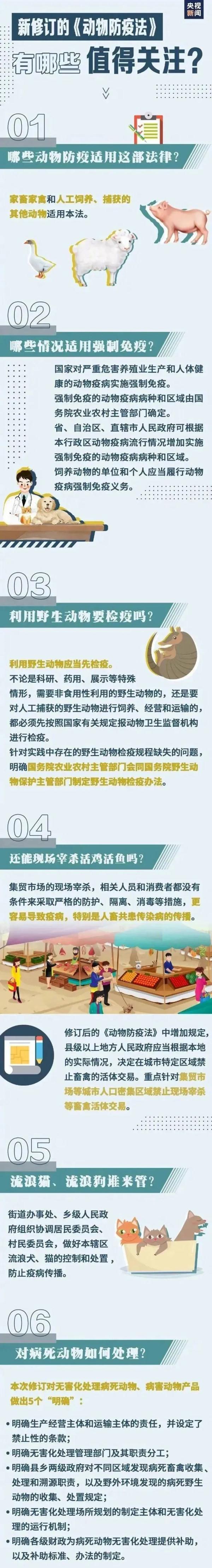 下月起，养狗不做这些事就是违法