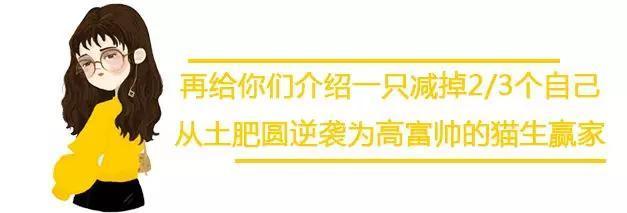 看到这只满身肌肉的狗，健身10年的我怂了