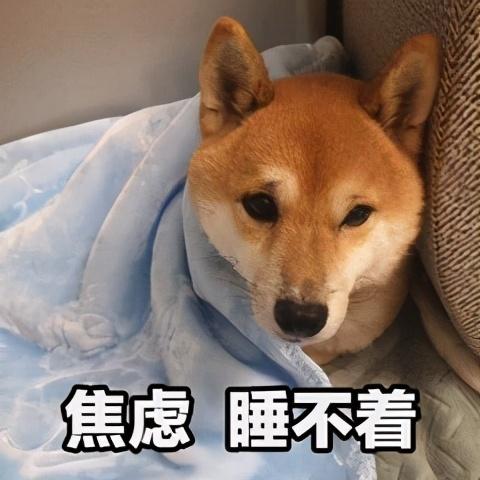 人犬易患的9大寄生虫，为了狗狗和家人的健康，一定要注意防治